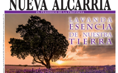 La lavanda, protagonista en Nueva Alcarria