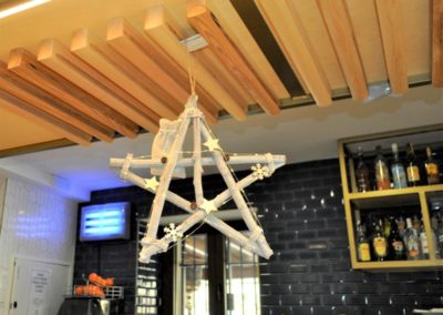 Estrella de Navidad.