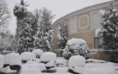 Fotos de la nevada en Brihuega