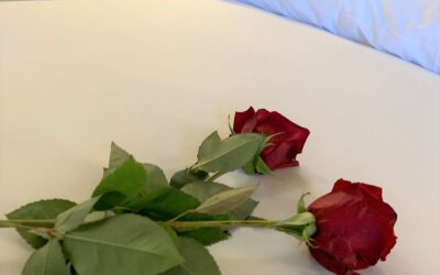 San Valentín 2023